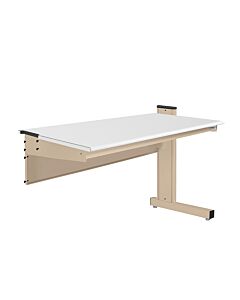 Grant Series Single Sided Add-on Bench with LisStat™ ESD Static Control Laminate Top, 24" D x 72" L x 32" H