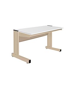 Grant Series Single Sided Starter Bench with Cleanroom Laminate Top, 24" D x 60" L x 30" H