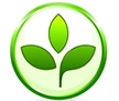 Bench Depot Green Policy